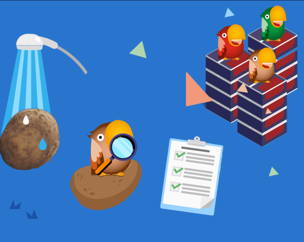 Hoe worden Crokychips gemaakt? 