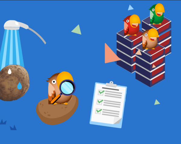 Comment sont fabriquées des chips ?